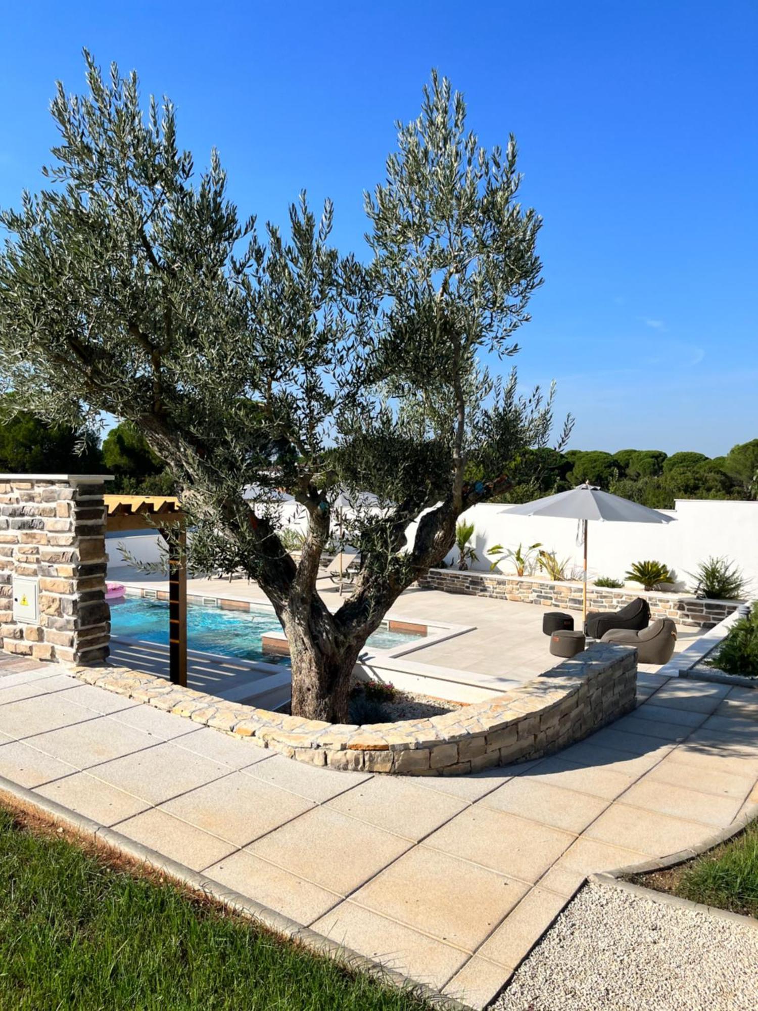 Olivea Luxury Suites Fažana Dış mekan fotoğraf